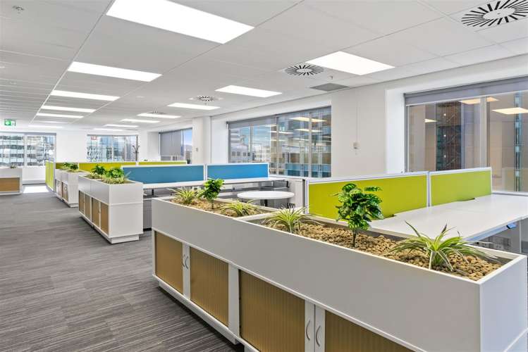 141 The Terrace Wellington Central_13