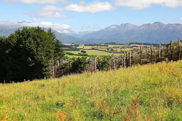 Fiordland Mountain Views