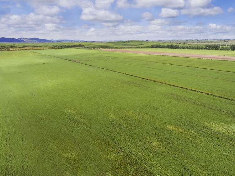 590e Koheroa Road Mangatawhiri_17