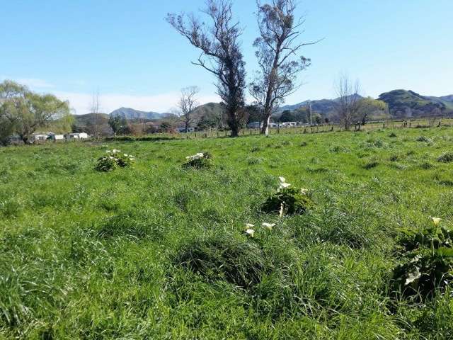 5 Cook Street Tolaga Bay_3