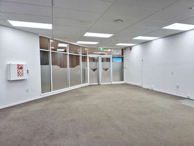 15 Walter Street Te Aro_3