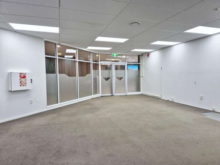 15 Walter Street Te Aro_3