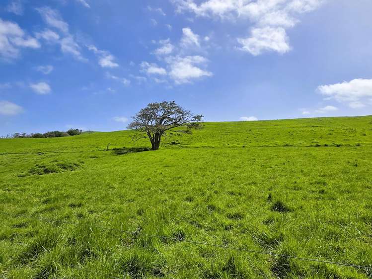 3050 Mititai Road Dargaville_12