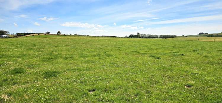 391A Otama Road Otama_20