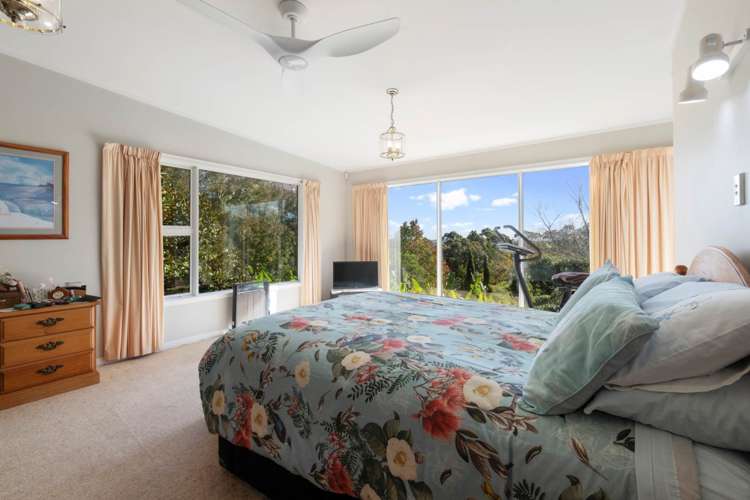 162 Ara-Kotinga Whitford_20