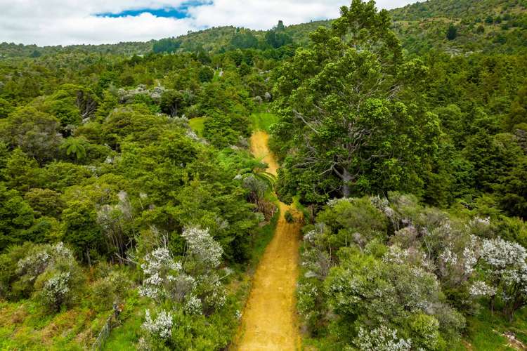 6754 State Highway 12 Waimamaku_2