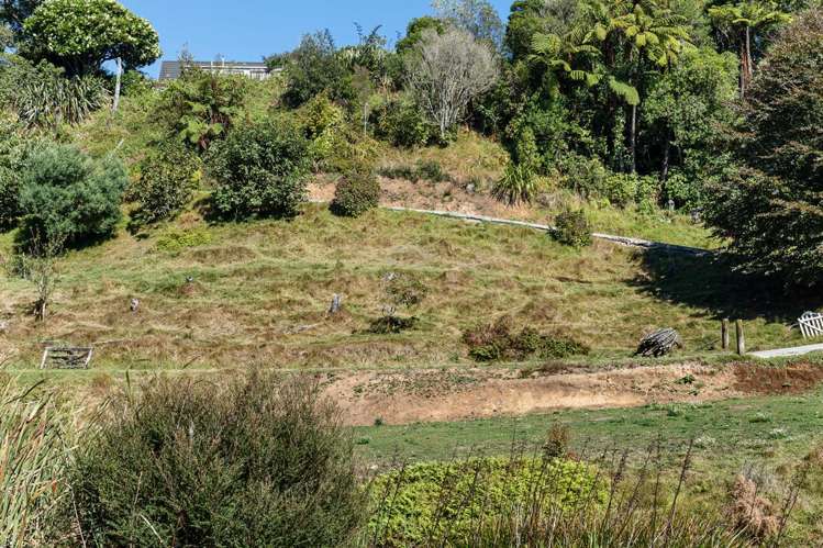 144b Heta Road Highlands Park_6