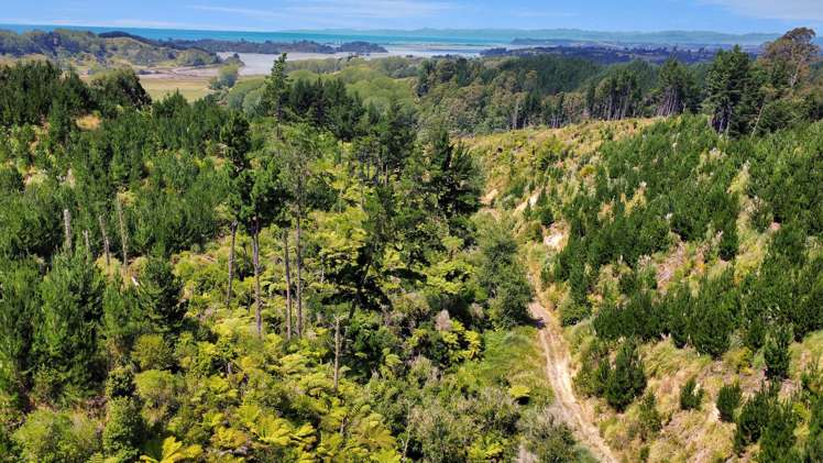 700 Burma Road Maraetotara_15