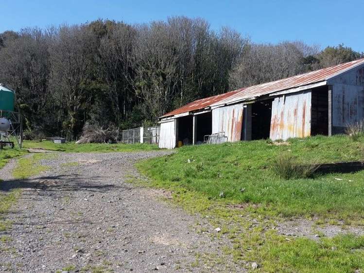 346 Rugby Road Tariki_28