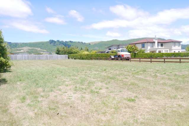 18 Pukeko Way Kinloch_4