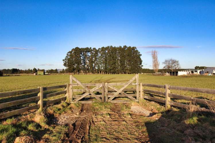 101 George Street Edendale_6