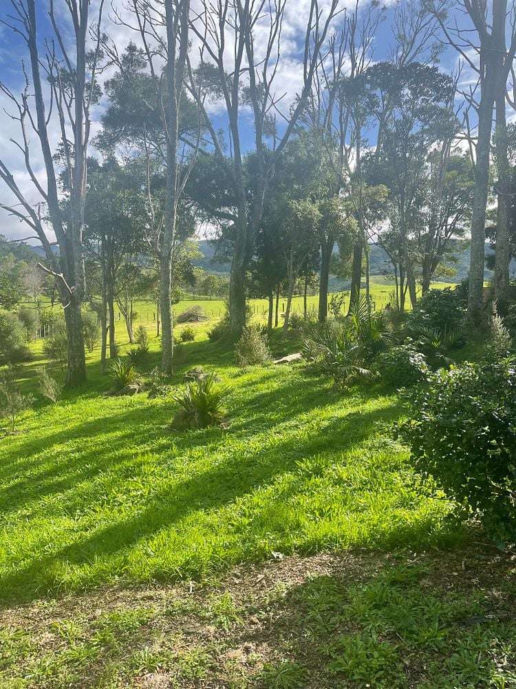 47 Orchard Lane Mangawhai_6