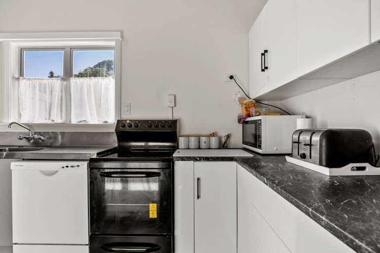 16 Trotter Avenue Waiomu_6