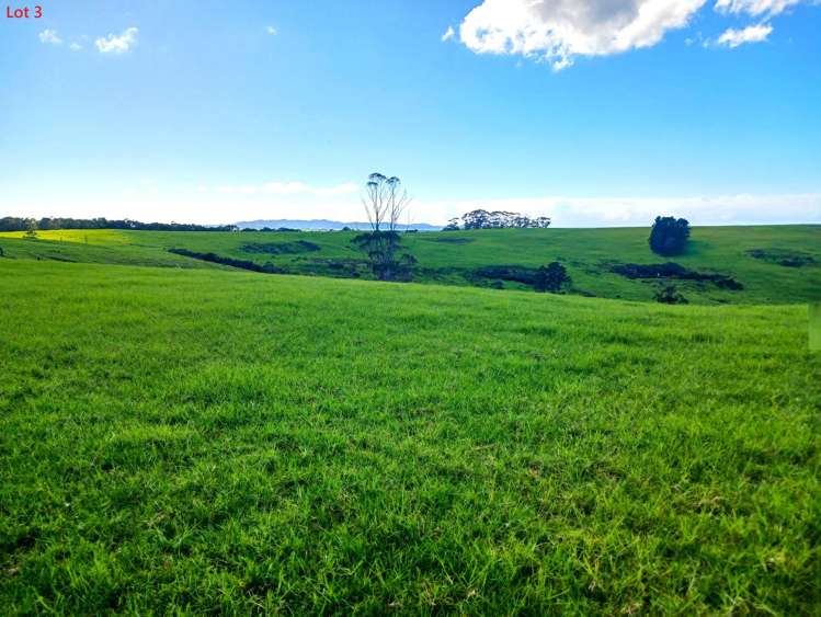 Lots 1-4 Tahanga Road Lake Ohia_2