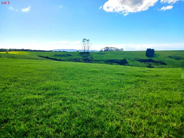 Lots 1-4 Tahanga Road Lake Ohia_2