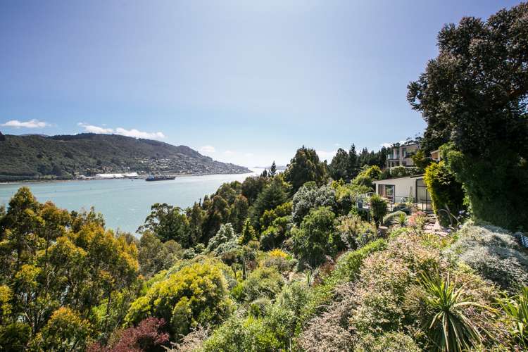 147 Doon Street Waverley_3