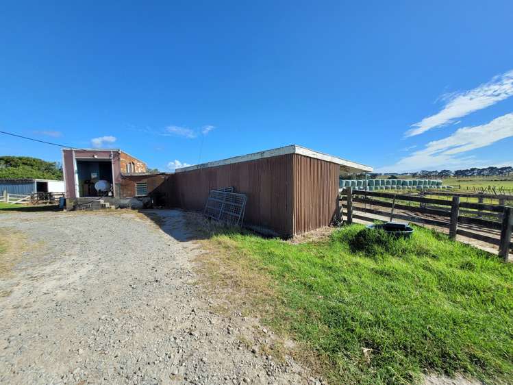 1919 Pouto Road Te Kopuru_9