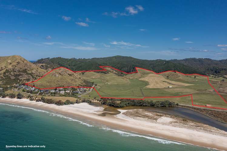 550 Black Jack Road, Opito Bay Whitianga_0