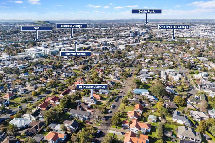 16 Massey Avenue Greenlane_16