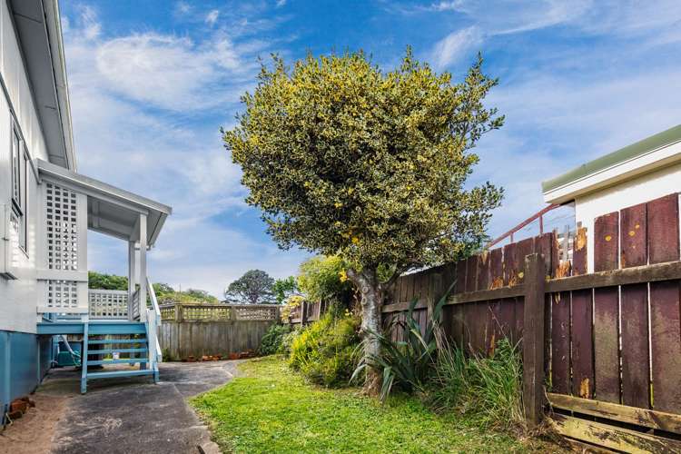 46 Hornsey Road Melrose_7