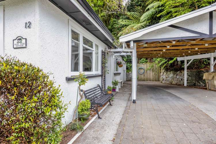 12 Brooklands Road New Plymouth_24