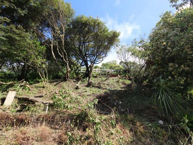 79 Raroa Road Aro Valley_5