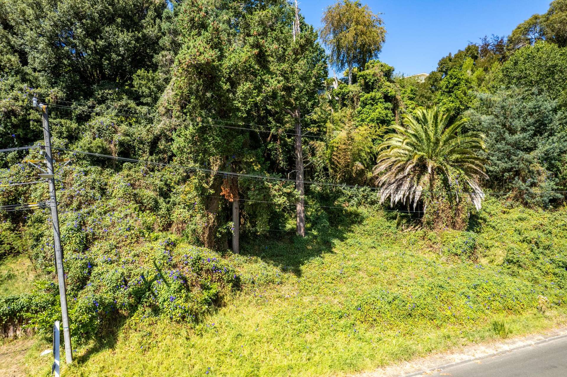 56 Ikitara Road Whanganui East_0