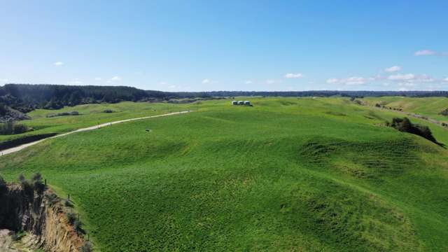 902 Galaxy Road Tokoroa_3