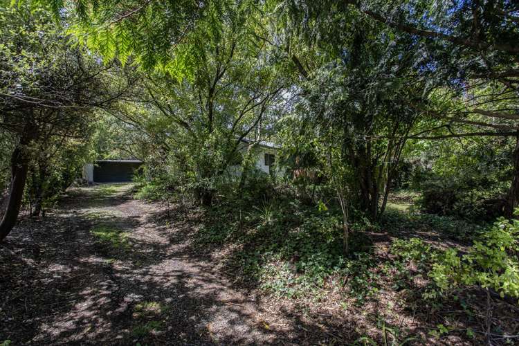 55 Osborne Road Amberley_11