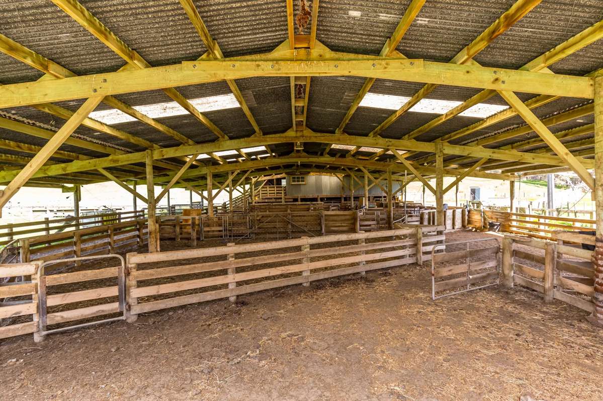 2122 Masterton Castlepoint Road_5