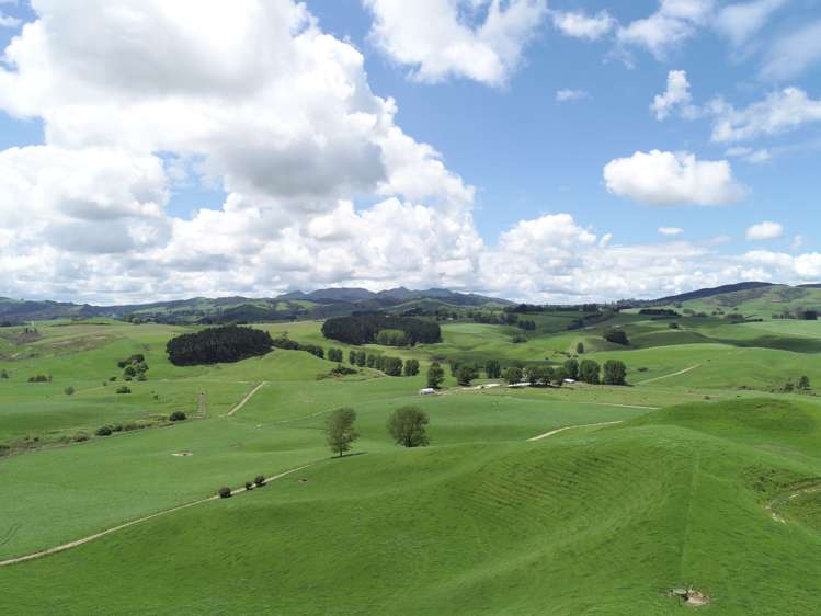 1250 Arapuni Road Parawera_23