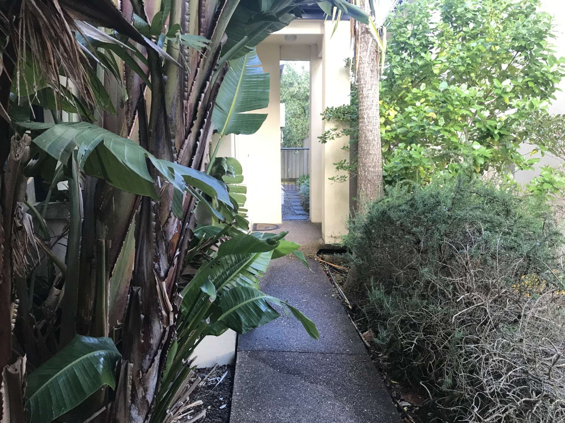 8 Trimaran Drive Gulf Harbour_0