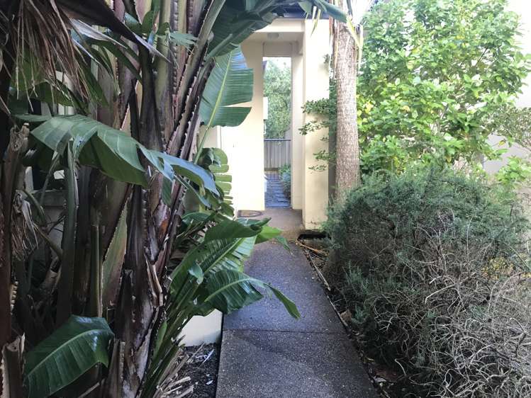 8 Trimaran Drive Gulf Harbour_0