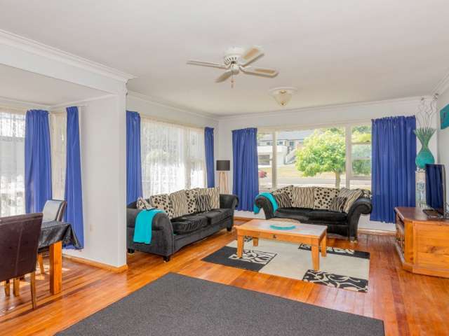 11 Chester Street Levin_1