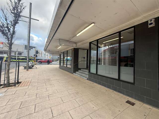 1 Margaret Street Hutt Central_2