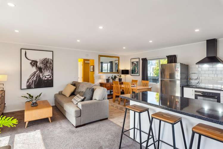 22A Kapiti Road_0