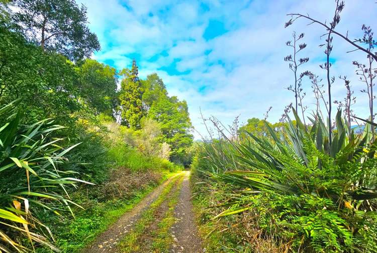 334 Otaua Road Taheke_17