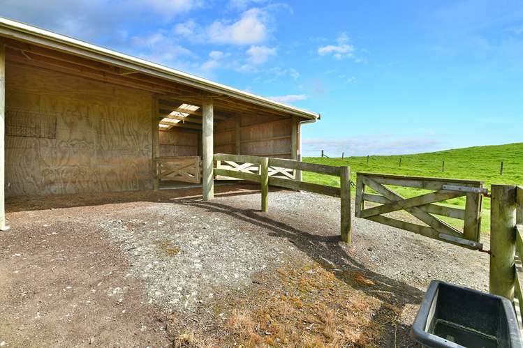 1880 South Head Road South Head_18