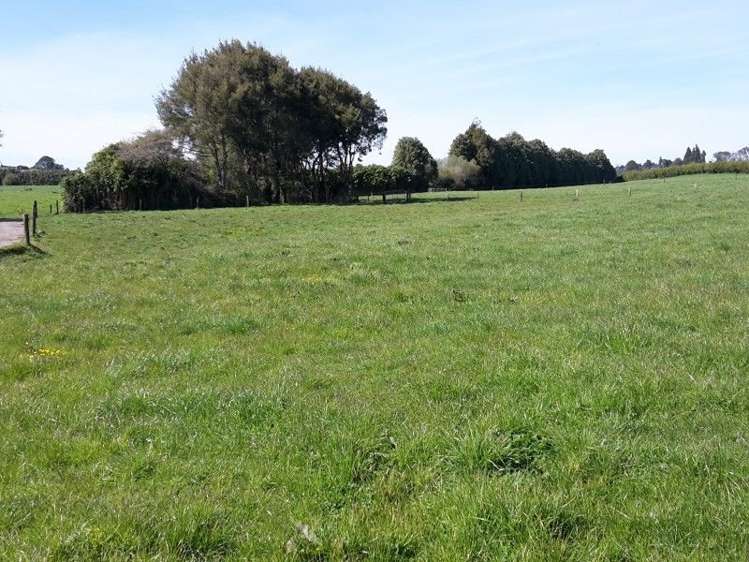 346 Rugby Road Tariki_90