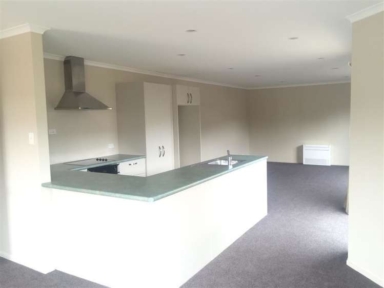 27a Burns Street South Dunedin_1