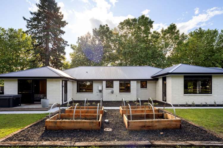 1206 Kaipaki Road Cambridge_32