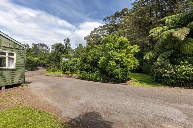 24 Govett Avenue Frankleigh Park_8