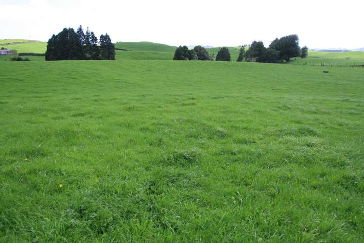 828 Hursthouse Road Inglewood_24