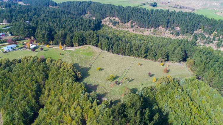 1204j State Highway 3 Kai Iwi_12