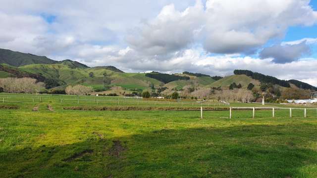 29 Thames Road Paeroa_1