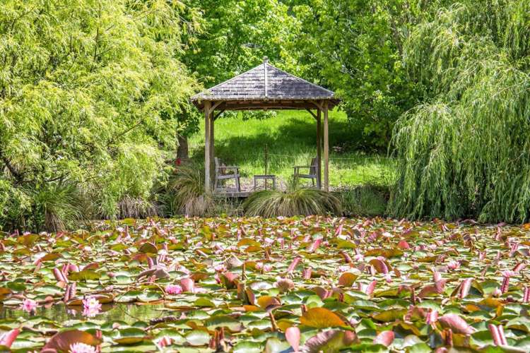 70 Wright Road Dairy Flat_21