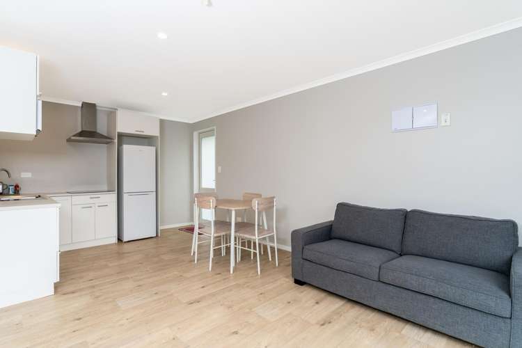 28 Wrights Road Raglan_28