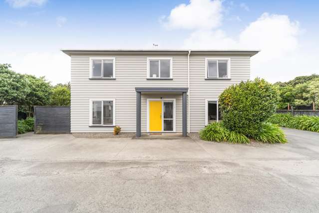 459A & B Ferguson Street Palmerston North_2