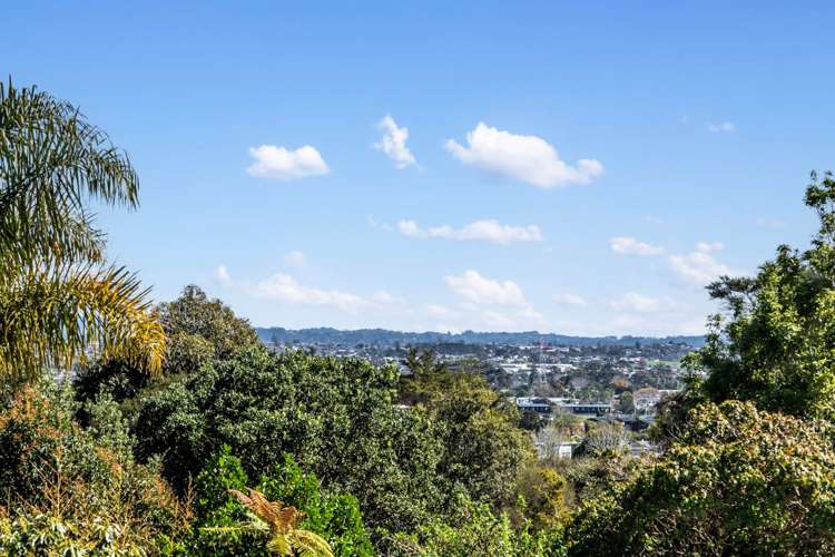 4 Acton Place Avondale_6