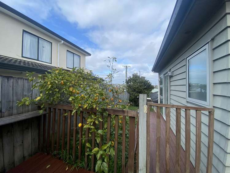 45 Ellis Avenue Mt Roskill_24